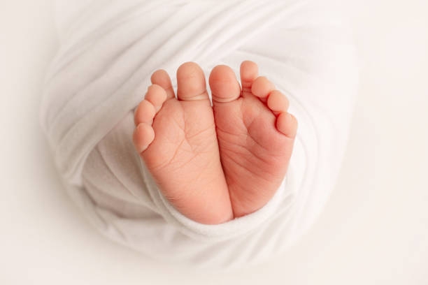 baby toes.jpg