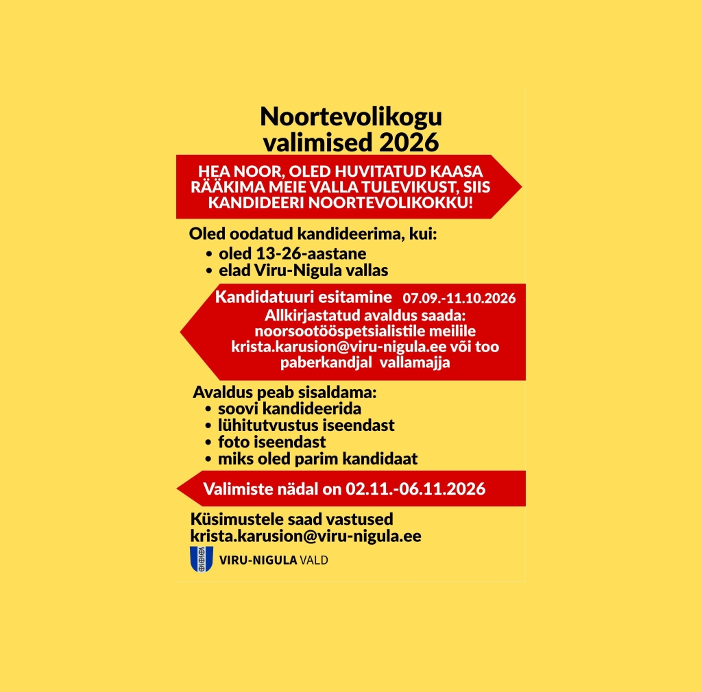 noortevolikogu3.jpg