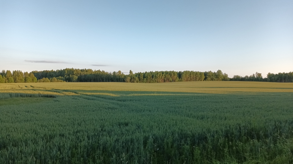 tiia_tamm-suik_pold.jpg